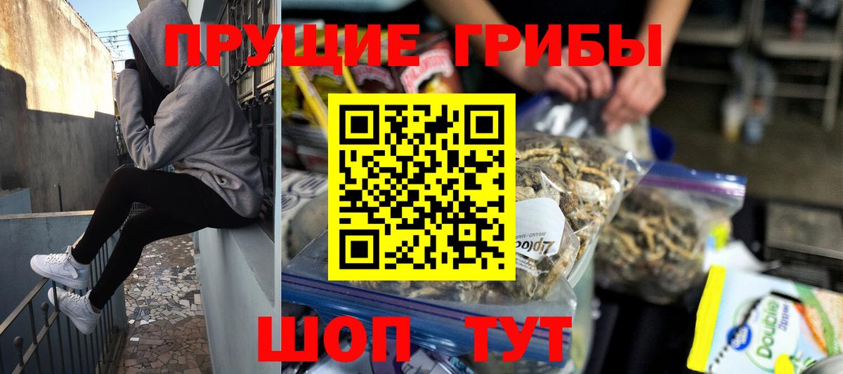 Псилоцибиновые грибы Magic Shrooms  Галлюциногенные грибы GOLDEN TEACHER  Ливны  Вход с VPN 